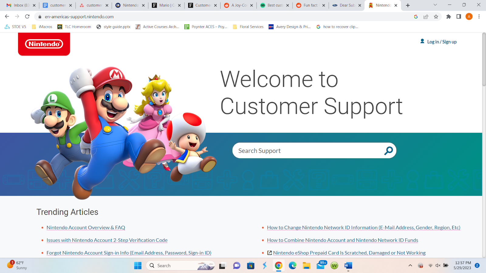 good customer service stories, nintendo customer support welcome page